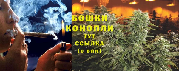 прущие крисы Нея