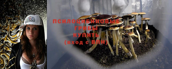 прущие крисы Нея